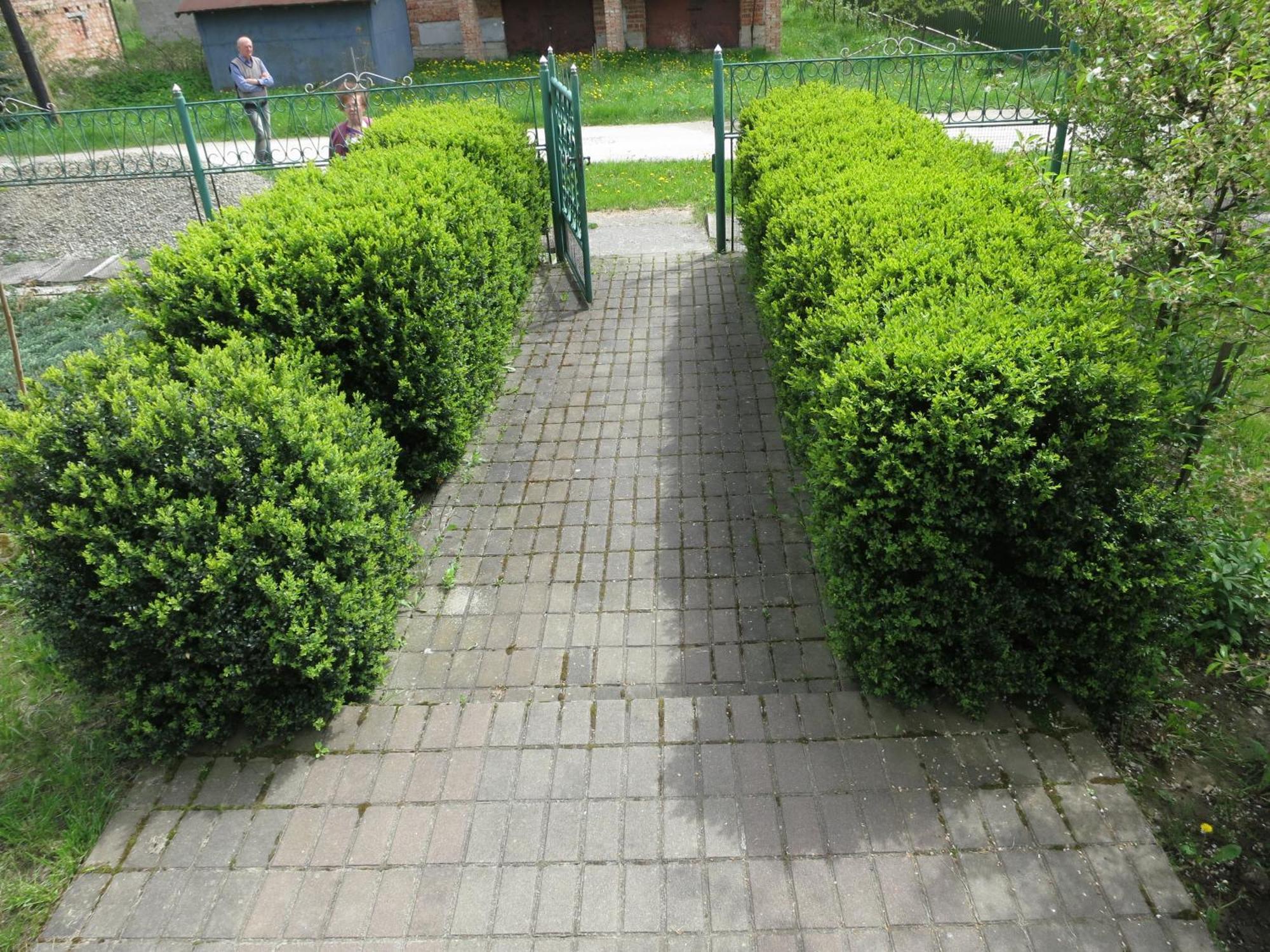 Hostynna Sadyba Lisznia Zewnętrze zdjęcie